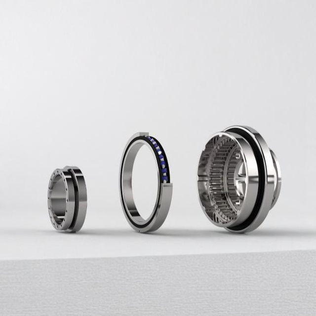 Custom Integrated Bearing for Humanoid Robots